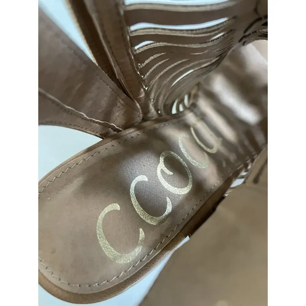 CCOCCI see photos